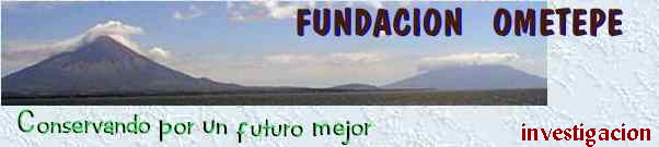  investigacion 